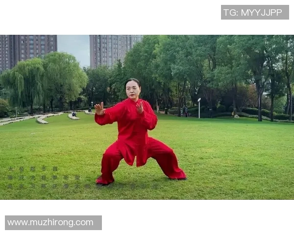 探索陈氏太极拳新架的精髓与传承之路