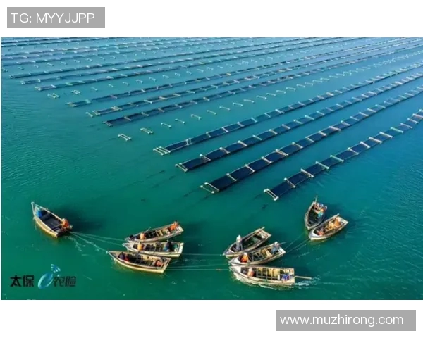 青岛国信水产助力当地渔业扶贫项目取得丰收成果